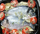 Gilt-head bream