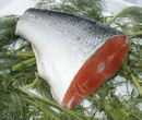 Wild salmon tailpiece