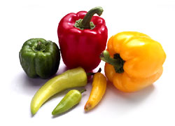 Our nutritionists services