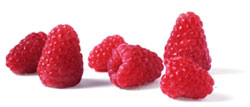 The Nutrition Coach on child obesity
